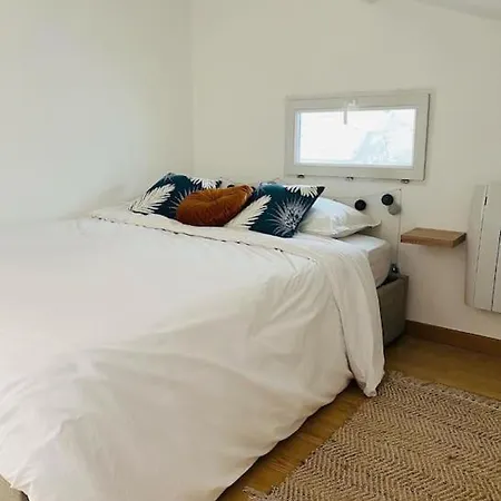 Esprit Cosy/porte De Lyon/eurexpo/groupama Stadium